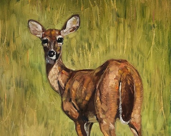 Young Deer Painting by Matt Godwin, Original Art, Oil on Canvas Panel, 11″x14″