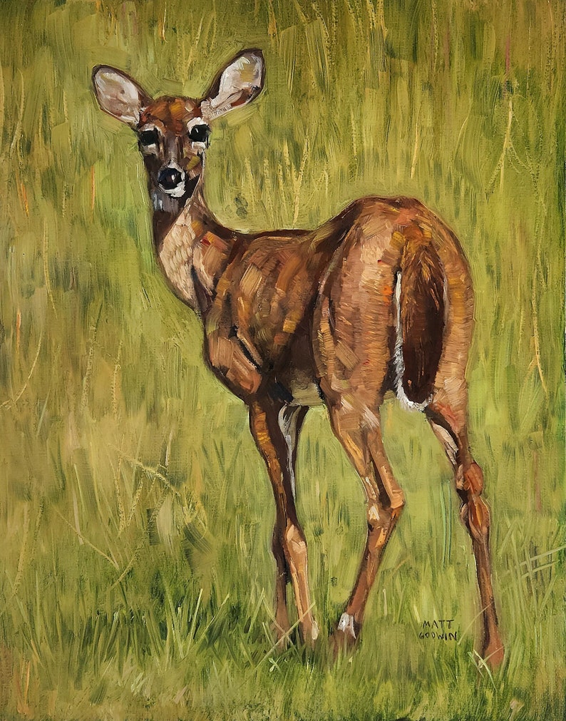 Young Deer Painting by Matt Godwin, Original Art, Oil on Canvas Panel, 11x14 image 1