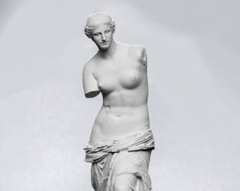 Vénus de Milo Aphrodite grecque Sculpture imprimée en 3D Art décoration de la maison Statue d'entrée
