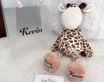 May include: A white card with the text "Ring Bearer" and "Will you be our Ring Bearer?"  A blue ring bearer pillow with two gold rings. A brown and tan stuffed giraffe with the text "Kevin 07.25.25" on one foot and "Ring Bearer" on the other foot. A clear plastic bag with the name "Kevin" printed on it.