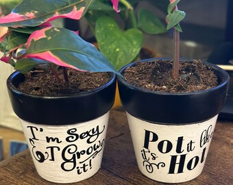 Punny Pots (set of 6)