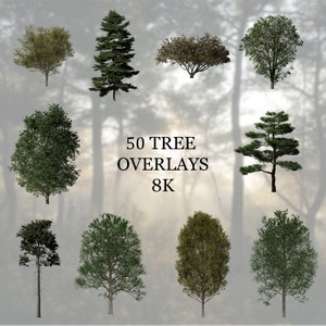 Pacchetto 50 sovrapposizioni di alberi 8K - Migliora le tue modifiche - Sovrapposizioni di Photoshop - PNG - Digitale - Trasparente - Senza sfondo - Photobashing - 8K