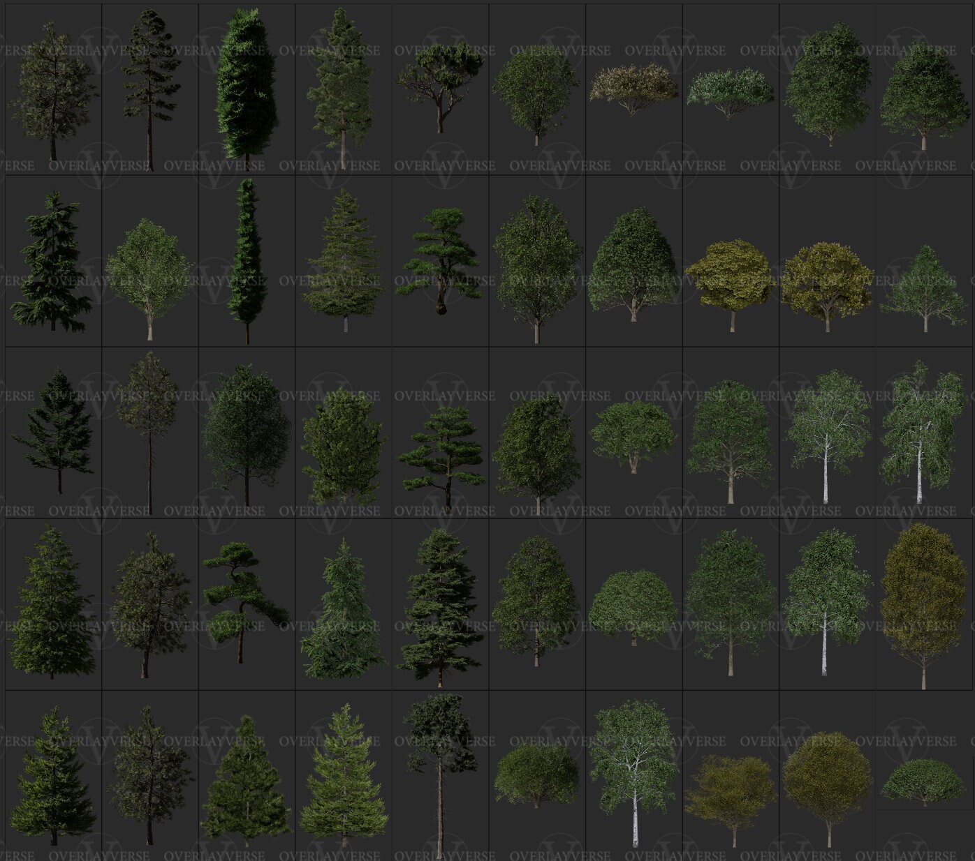 50 8k Tree Overlays Bundle - Enhance Your Edits - Photoshop Overlays ...