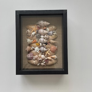 May include: A framed shadow box art piece featuring an assortment of seashells and starfish. The shells are arranged on a burlap-textured background within a black wooden frame. The shells vary in size, shape, and color, creating a coastal theme.