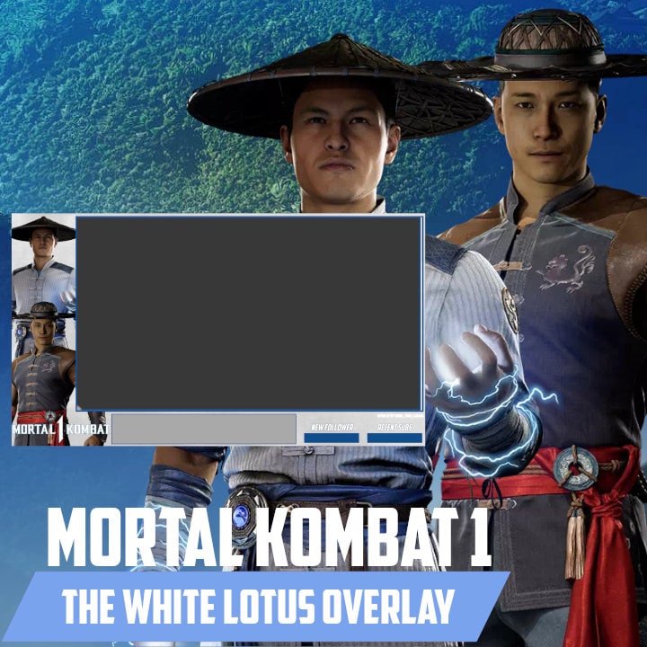 Mortal Kombat Flawless Victory Eco Tote Bag – Warner Bros. Shop