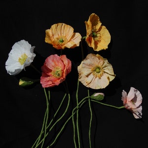 Bouquet di papaveri islandesi in carta crespa