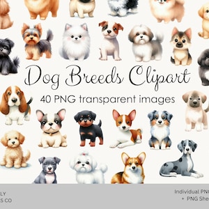 Hondenrassen clipart, aquarel puppy-illustraties, schattige hond png-afbeeldingen, digitale huisdierenstickers