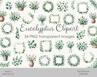 May include: A collection of 54 digital watercolor eucalyptus clipart images featuring various green leaf arrangements, wreaths, frames, and bouquets in vases or baskets. The text Eucalyptus Clipart 54 PNG transparent images is centered.