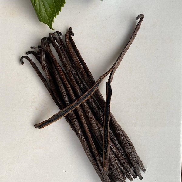 Certified Organic FairTrade Madagascar Gourmet Grade A Vanilla Beans