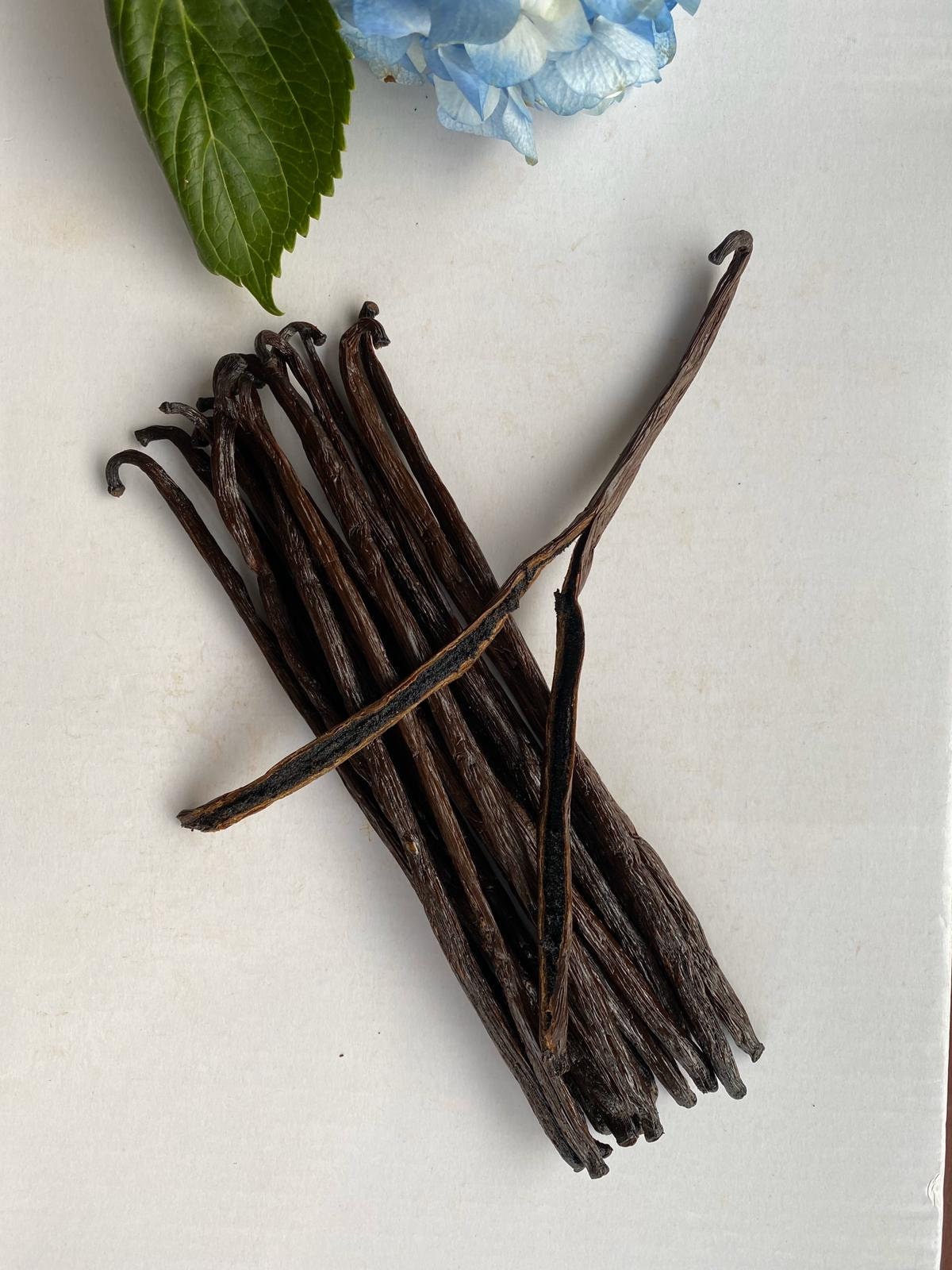Certified Organic FairTrade Madagascar Gourmet Grade A Vanilla Beans