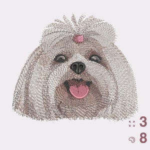 CUTE MALTESE Machine Embroidery Design - instant download