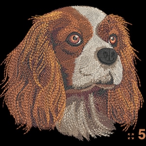 Puede incluir: Diseño bordado de un perro Cavalier King Charles Spaniel con pelaje marrón, blanco y negro. El perro está mirando hacia la derecha. El diseño está disponible en 5 tamaños.