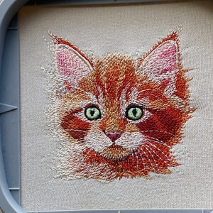 CUTE REALISTIC CAT Machine Embroidery Design Instant Download - Etsy ...