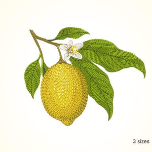 Könnte beinhalten: Stickerei einer Zitronen-Zweigs mit grünen Blättern und einer weißen Blüte. Die Zitrone ist gelb und hat eine strukturierte Oberfläche.