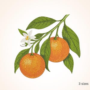 May include: Embroidered design of a branch with two orange oranges and a white blossom. The branch has green leaves. The design is available in three sizes.