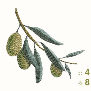 OLIVE BRANCH Digital Embroidery Design – Instant Download