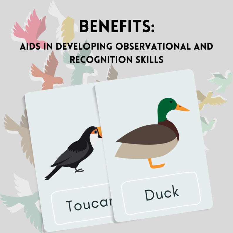 Birds Flashcards | Preschool Learning Worksheets | Printable ...