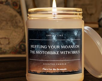 Smells Like Muffling Your Moans on the Motorbike with Sirius Scented Candle, Funny gift for her, fictional men candles, wolfstar gift, flair