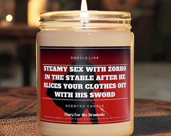 Smells Like Steamy Sex with Zorro in the Stable after he Slices your Clothes off with his Sword Scented Candle Fictional Men Finny GIft
