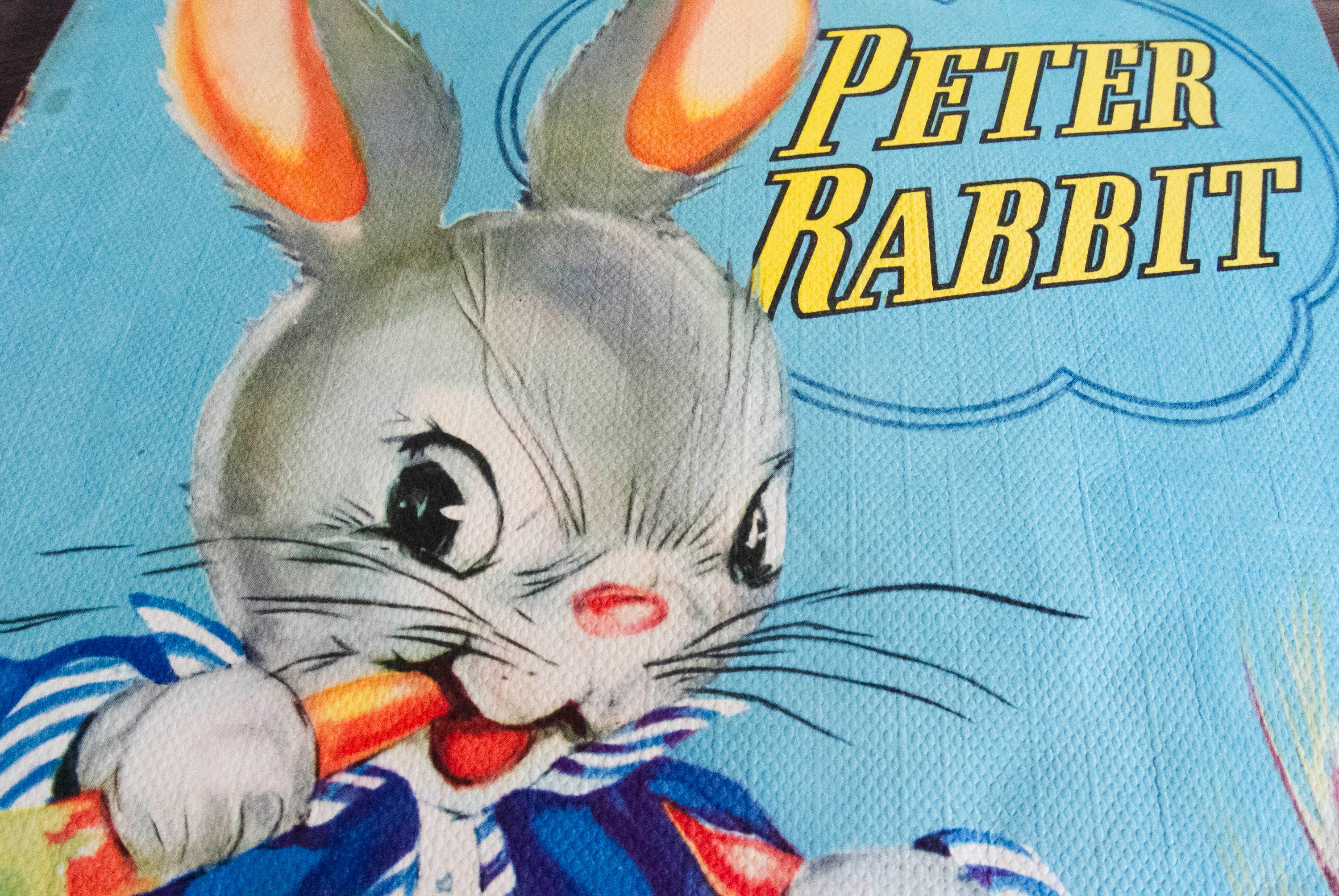 Vintage 1940s Peter Rabbit Linen Cover Book – Ruth E. Newton’s Chubby ...