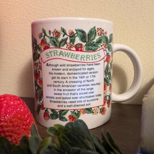 Cute Vintage Ceramic Strawberry Mug, American Greeting Cards Strawberry Coffee Cup, Cute Vintage Strawberry Gifts