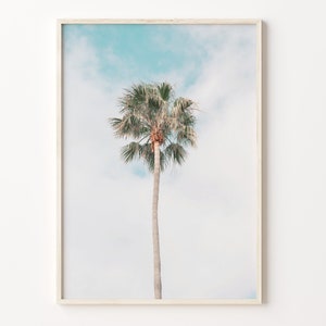 Single Palm Tree Colorful Poster Print, Palm Tree Photo Wall Art, Wall Art Boho Decor, Colorful Wall Art, Photography Poster Print, C18-52