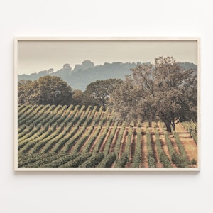 Sonoma Colorful Poster Print Horizontal, Sonoma Photo Wall Art, Sonoma Wall Decor, Sonoma Travel Print, Sonoma Street Map Poster, C18-395