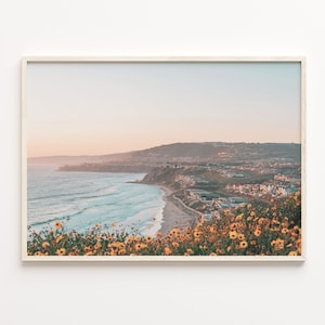 Dana Point kleurrijke poster print, Dana Point Photo Wall Art, Dana Point Wall Decor, Travel Print, stadsplattegrond, C18-195