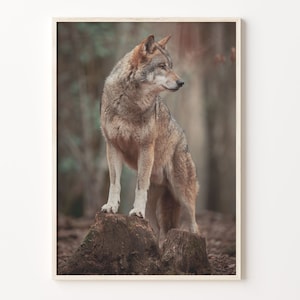 Wolf Colorful Poster Print, Wolf Photo Wall Art, Wall Art Boho Decor, Colorful Wall Art, Photography Poster Print, C18-28