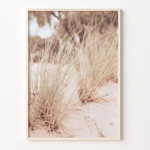 Grass Growing Wild Colorful Poster Print, Grass Photo Wall Art, Wall Art Boho Decor, Colorful Wall Art, Photography Poster Print, C18-85