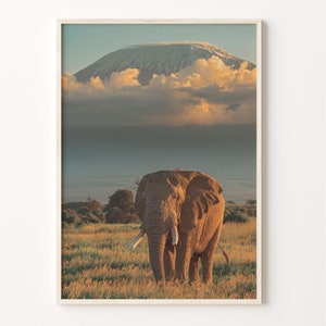 Mount Kilimanjaro Colorful Poster Print, Mount Kilimanjaro Photo Art, Mount Kilimanjaro Decor, Travel Print, Street Map Poster, C18-955