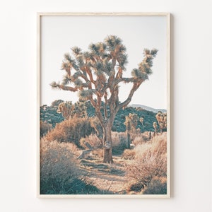 Joshua Tree National Park Bunt Posterdruck, Joshua Tree National Park Fotokunst, Dekor, Reisedruck, Straßenkarte Poster, C18-758