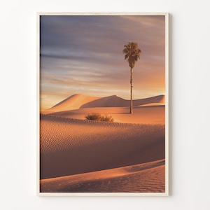 Palm Desert Colorful Poster Print, Palm Desert Photo Wall Art, Palm Desert Wall Decor, Travel Print, City Map, C18-170