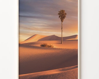 Palm Desert Print: Sunset Desert Landscape Wall Art