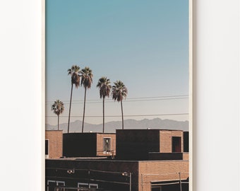 California Palm Trees Photo Art Print: Summer Morning Boho Decor