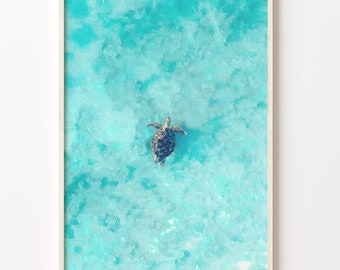 May include: An aerial view of a sea turtle swimming in turquoise blue water. The turtle is facing the camera and its shell is visible.