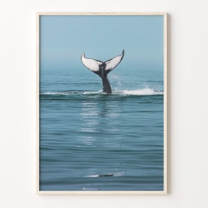Whale Colorful Poster Print, Whale Photo Wall Art, Wall Art Boho Decor, Colorful Wall Art, Photography Poster Print, C18-32