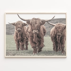 Scottish Highlander Colorful Poster Print, Scottish Highlander Photo Art, Art Boho Decor, Colorful Wall Art, C18-267