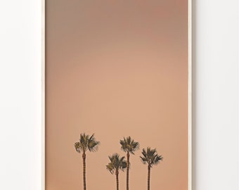 Palm Trees Photo Print: Boho Wall Art Decor