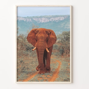Elephant Colorful Poster Print, Elephant Photo Wall Art, Wall Art Boho Decor, Photography Poster Print, Colorful Wall Art, C18-839