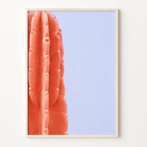 Trendy Kaktus Bunt Posterdruck, Trendy Kaktus Foto Wandkunst, Wand Kunst Boho-Dekor, Bunte Wandkunst, Fotografie Poster Druck, C18-38