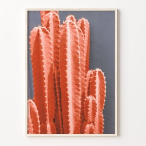 Trendy Kaktus Bunt Posterdruck, Trendy Kaktus Foto Wandkunst, Wand Kunst Boho-Dekor, Bunte Wandkunst, Fotografie Poster Druck, C18-37