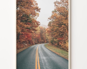 May include: A winding road through a forest with vibrant autumn foliage. The road is lined with trees in shades of red, orange, and yellow. The road leads to a distant point in the forest.