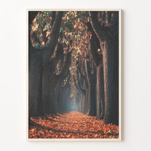 Herbst Morgen Spaziergang Bunt Poster Druck, Herbst Morgen Spaziergang Foto Wandkunst, Kunst Boho Dekor, Bunt Wandkunst, C18-117