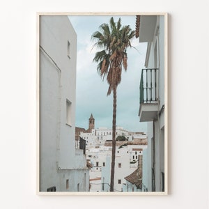 Palm Tree In Spanish Town Colorful Poster Print, Palm Tree Photo Wall Art, Wall Art Boho Decor, Photography Poster Print, C18-803