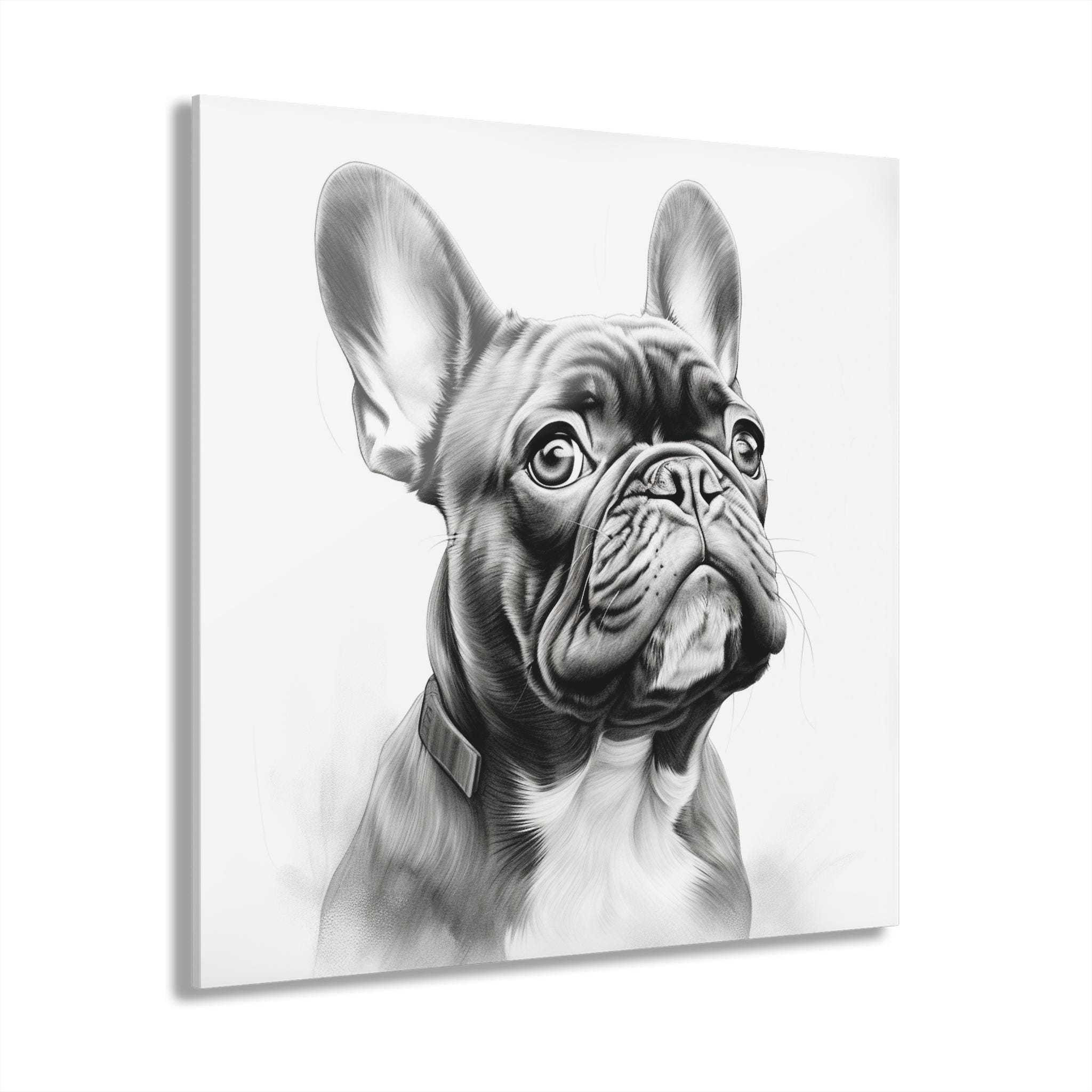 フレンチブルドッグのスケッチ アクリル画 - Etsy 日本
