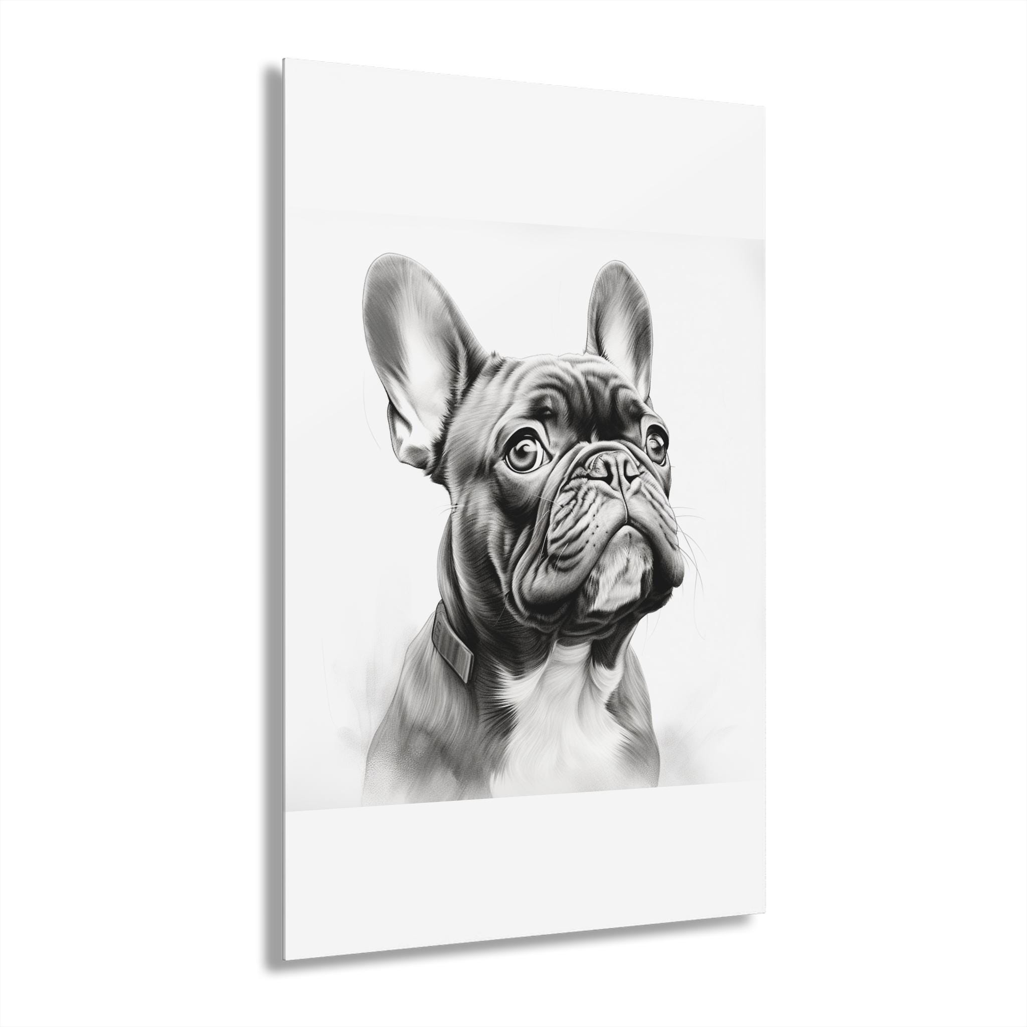 アクリル画  フレンチブルドック 犬 動物 フレンチブルドック アクリル画 絵 動物 【公式通販】
