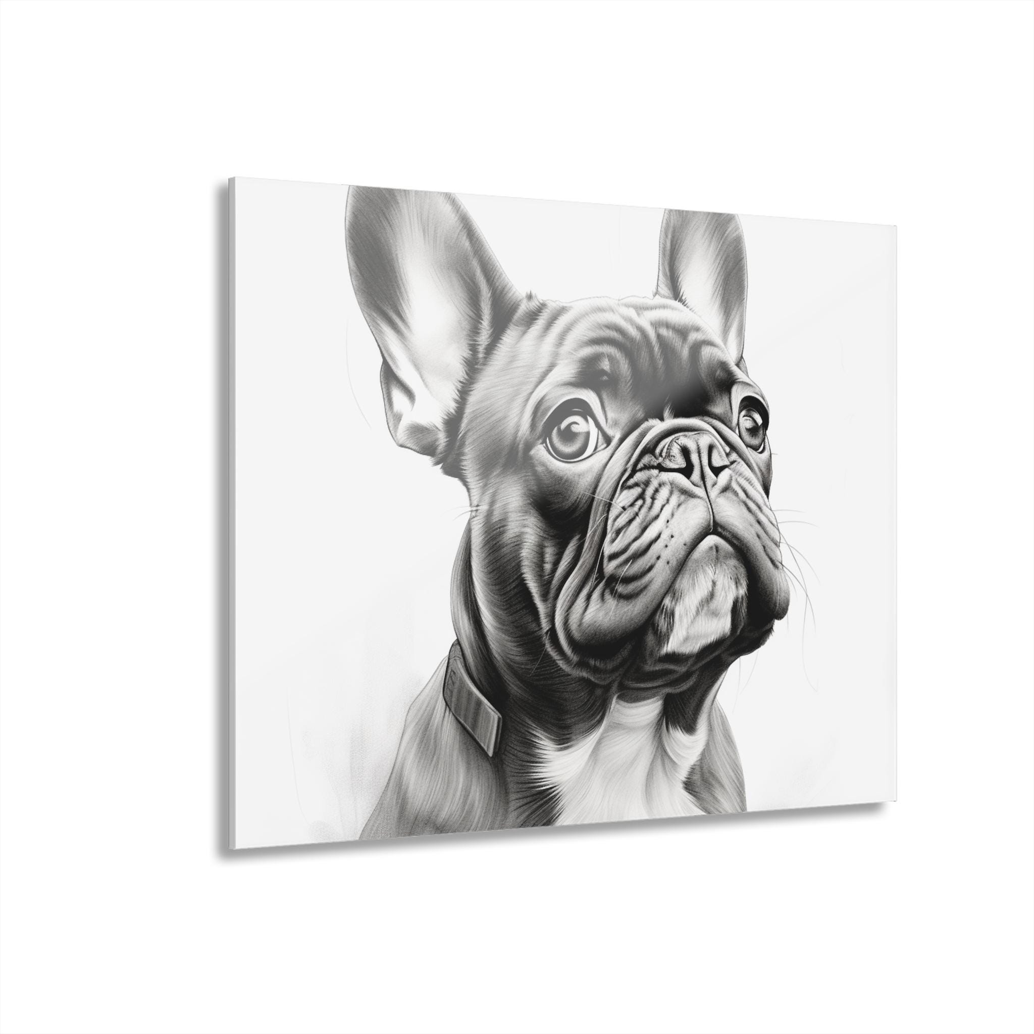フレンチブルドッグのスケッチ アクリル画 - Etsy 日本