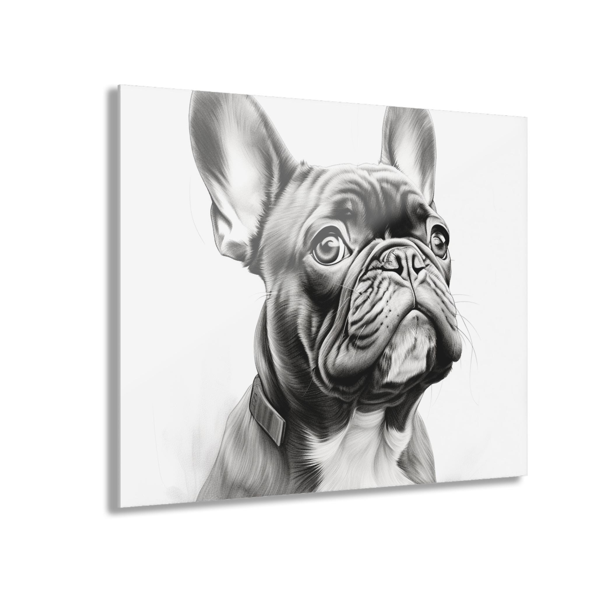 フレンチブルドッグのスケッチ アクリル画 - Etsy 日本