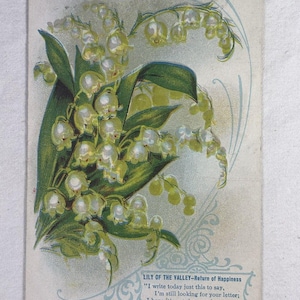 1913 Lily of the Valley Postcard - Floral Sentimental Greeting - US Stamp